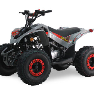 GRZ125